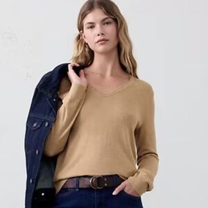 Banana Republic Forever V Neck Sweater